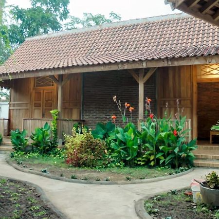 Pinarak Homestay バニュワンギ エクステリア 写真