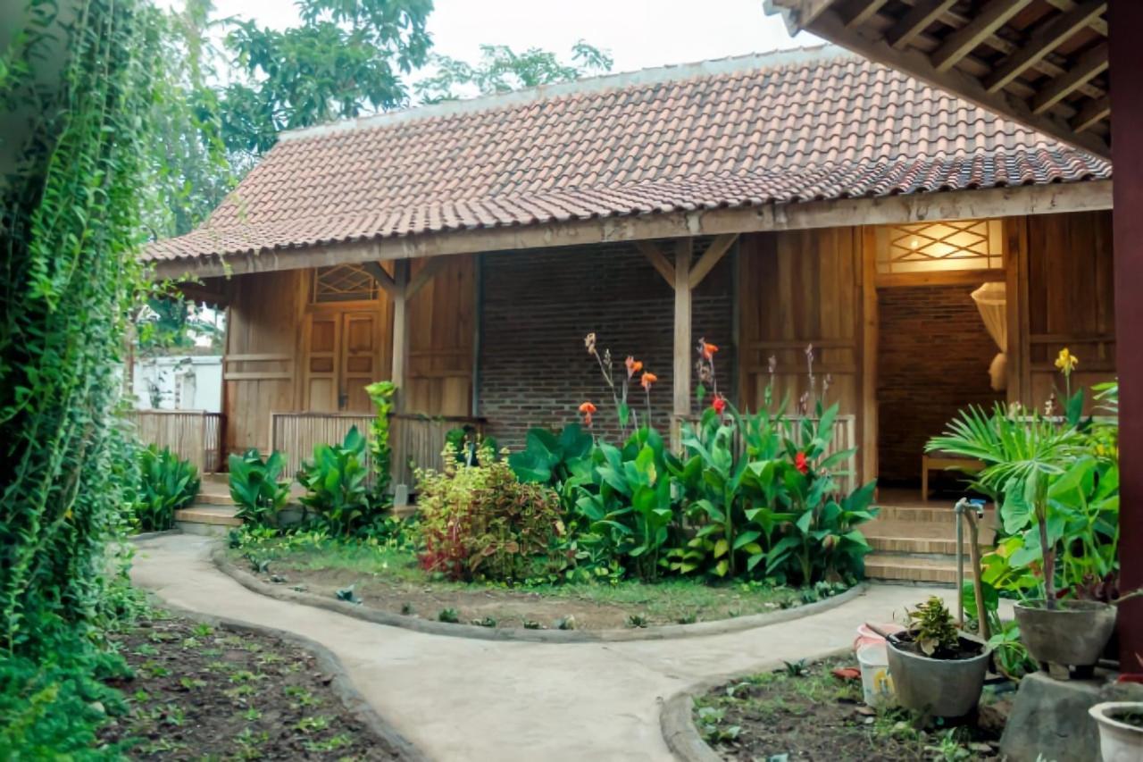 Pinarak Homestay バニュワンギ エクステリア 写真